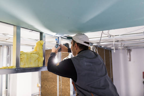 Best Insulation for New Construction  in Niagara Falls, NY