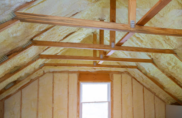 Best Attic Insulation Installation  in Niagara Falls, NY