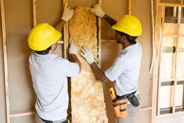 Best Insulation Replacement Services  in Niagara Falls, NY