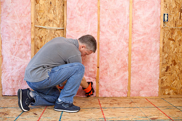 Best Wall Insulation Contractor  in Niagara Falls, NY
