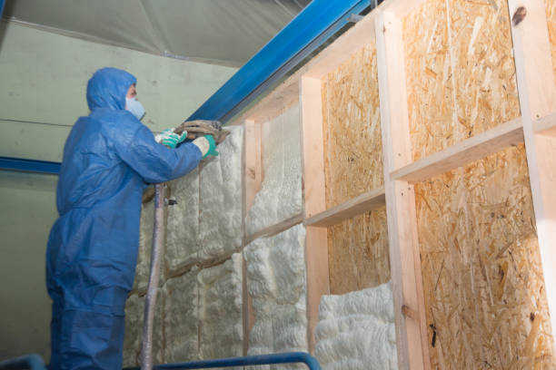 Best Home Insulation Services  in Niagara Falls, NY